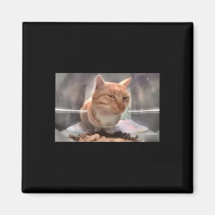 Imã Sr. Gato Fresco Do Lado Do Gato