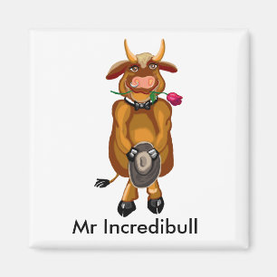 Imã Sr. Incredibull