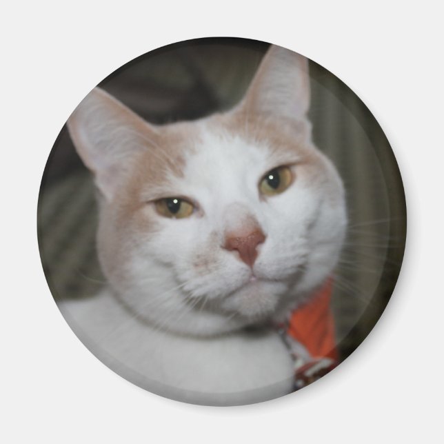 Imã Sr. Peabody! (Frente)