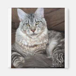 Imã Sr. Puppy-Meias Magnet nº 4