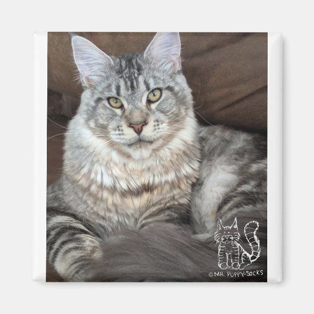 Imã Sr. Puppy-Meias Magnet nº 4 (Frente)