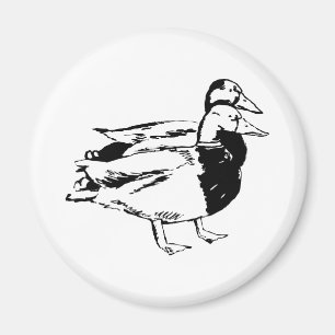 Imã Sr. & Sra. Pato