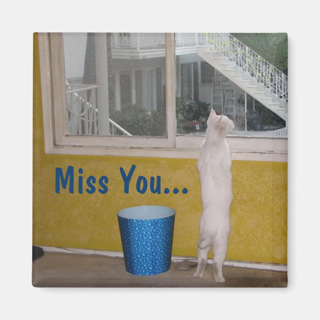 Imã Srta. Ímã! (Frente)