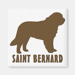 Imã St Bernard