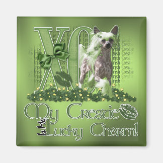 Imã St Patricks - Me Lucky Charm - Chinês Detido