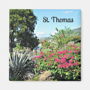 Imã St Thomas