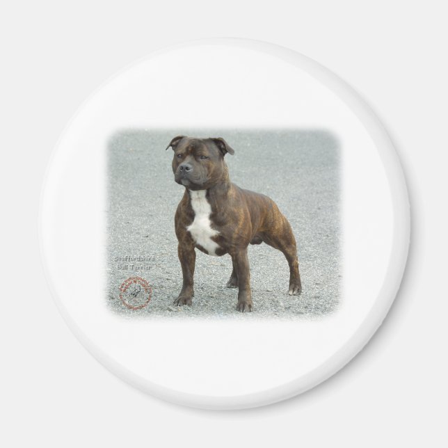 Imã Staffordshire Bull Terrier (Frente)