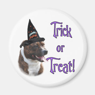 Imã Staffordshire Bull Terrier Trick