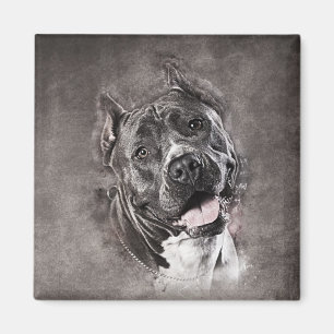 Imã Staffordshire Terrier americano - Amstaff