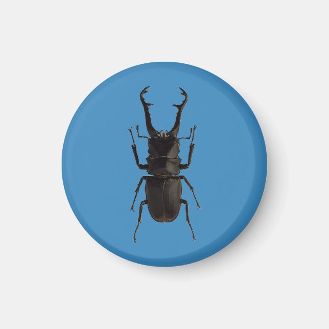 Imã Stag Beetle (Frente)