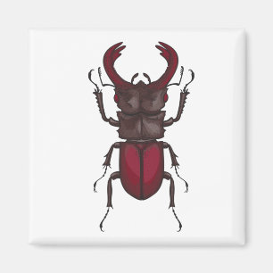 Imã Stag beetle