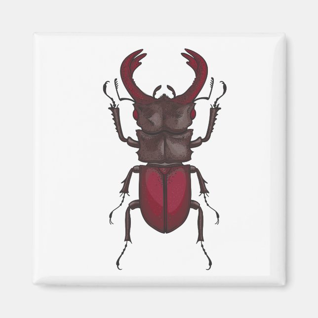Imã Stag beetle (Frente)