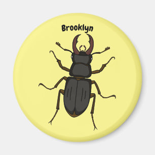 Imã Stag beetle insect illustration