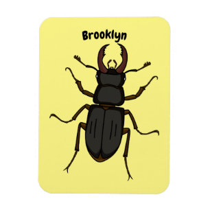 Ímã Stag beetle insect illustration