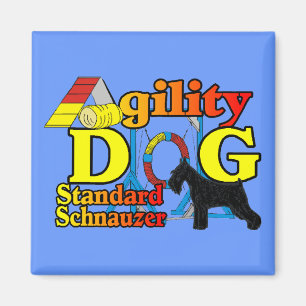 Imã Standard_Schnauzer_Agilidade