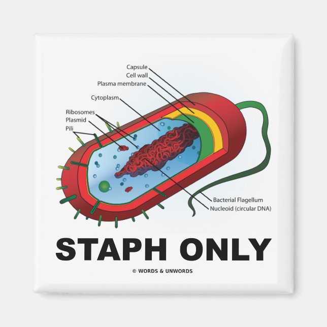 Imã Staph Somente (Humor com Medicina Sanitária Prokar (Frente)