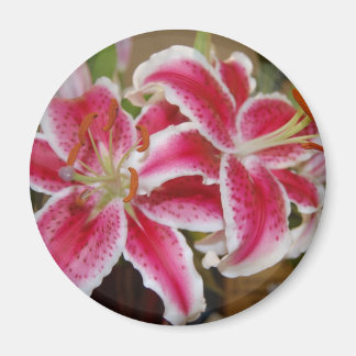 Imã Star Gazer Lily Round Magnet