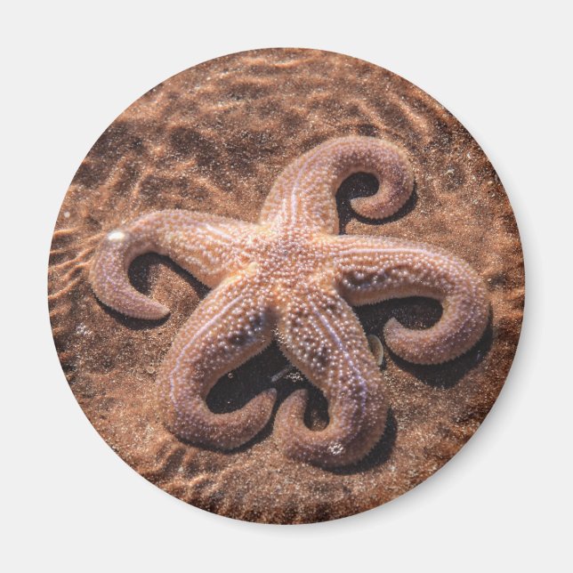 Imã Starfish com ímã de coxas (Frente)