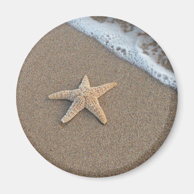 Imã Starfish na praia (Frente)