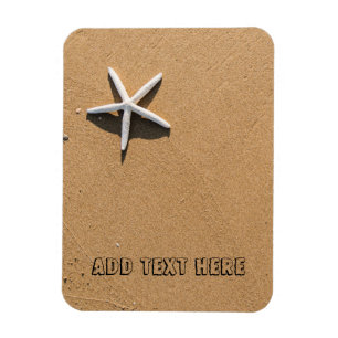 Ímã Starfish na praia Sandy