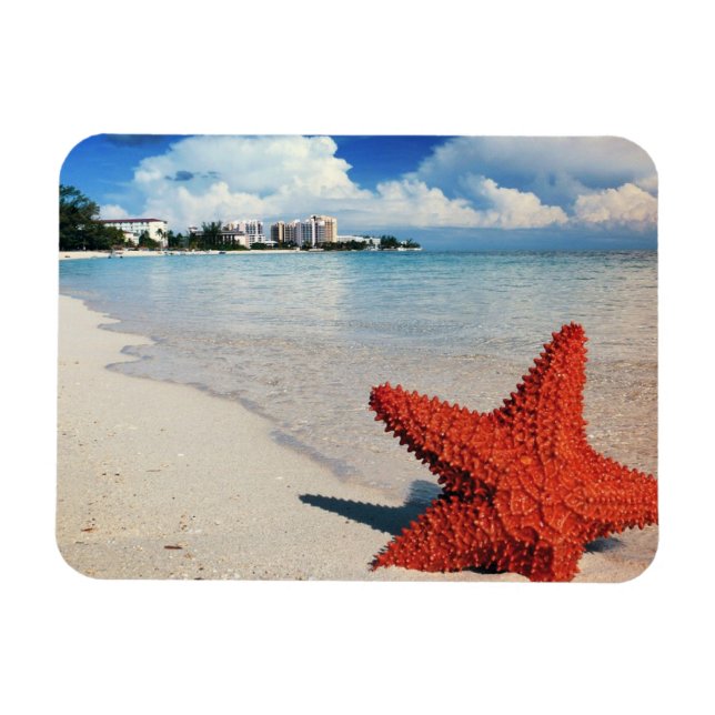 Ímã Starfish, Nassau, Bahamas (Horizontal)