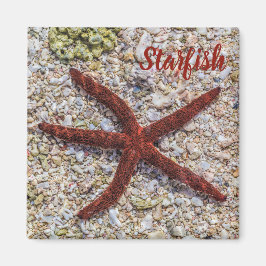 Imã Starfish Ocean Vintage Beach Retro Souvenir