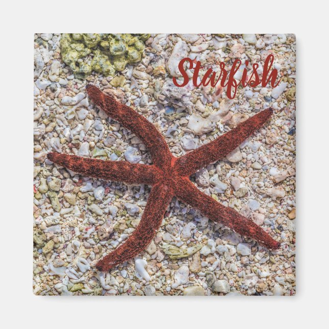Imã Starfish Ocean Vintage Beach Retro Souvenir (Frente)