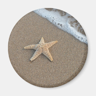 Imã Starfish perto da praia
