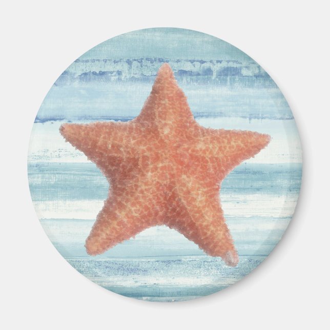 Imã Starfish Pintado em Stripes de Cor da Água Azul (Frente)