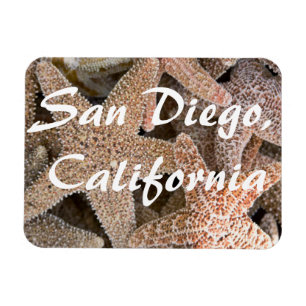 Ímã Starfish por todo o lado, San Diego, Califórnia
