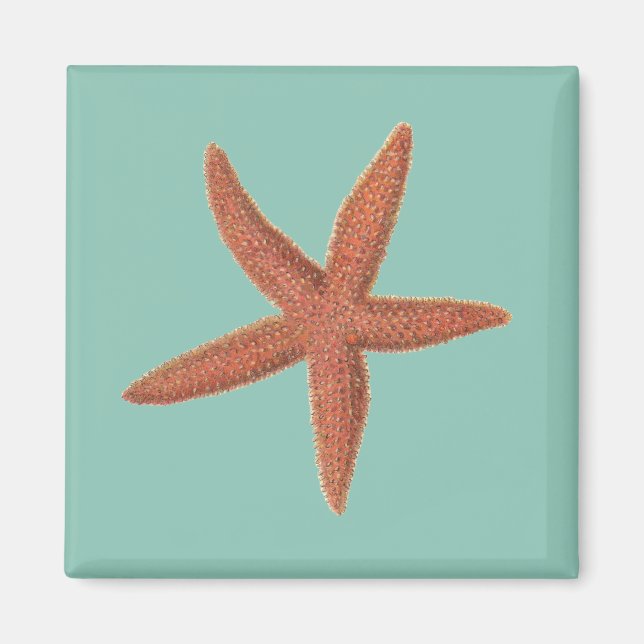 Imã Starfish - Sherman Denton Fish Lithograph (Frente)