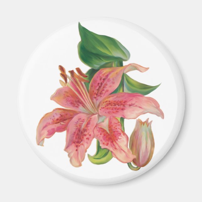 Imã Stargazer Lily (Frente)