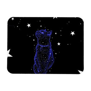 Ímã Stargazing do gato