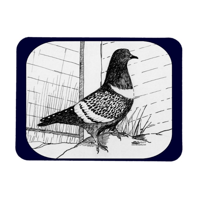 Ímã Starling Pigeon 1973 (Horizontal)
