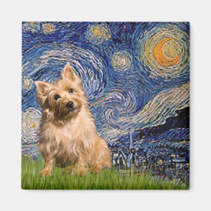 Imã "Starry" em Starry Night