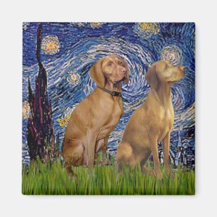 Imã Starry Night - Dois Vizslas