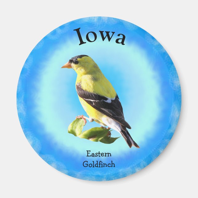 Imã State Bird de Iowa (Frente)