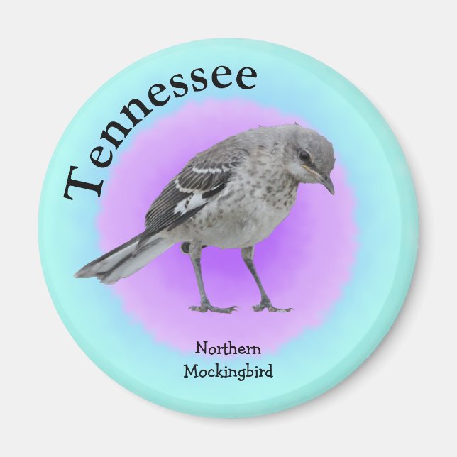 Imã State Bird do Tennessee (Frente)