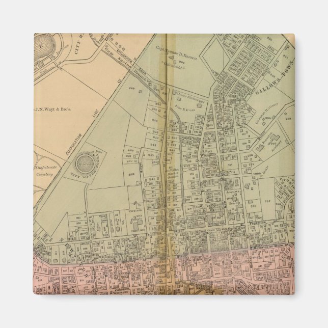 Imã Staunton (Frente)