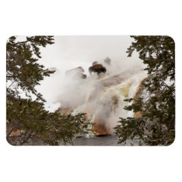 Ímã Steamy Bison no Parque Nacional de Yellowstone
