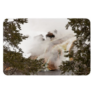 Ímã Steamy Bison no Parque Nacional de Yellowstone