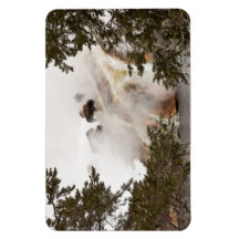 Steamy Bison no Parque Nacional de Yellowstone