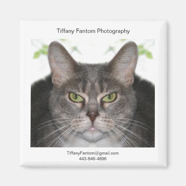 Imã Stella Promo (Frente)