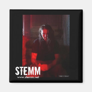 Imã STEMM: Ímã de Steve