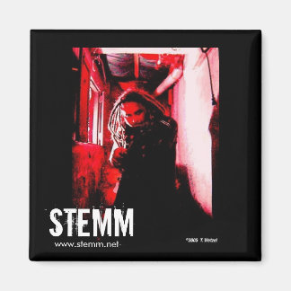 Imã STEMM: Joe MAGNET