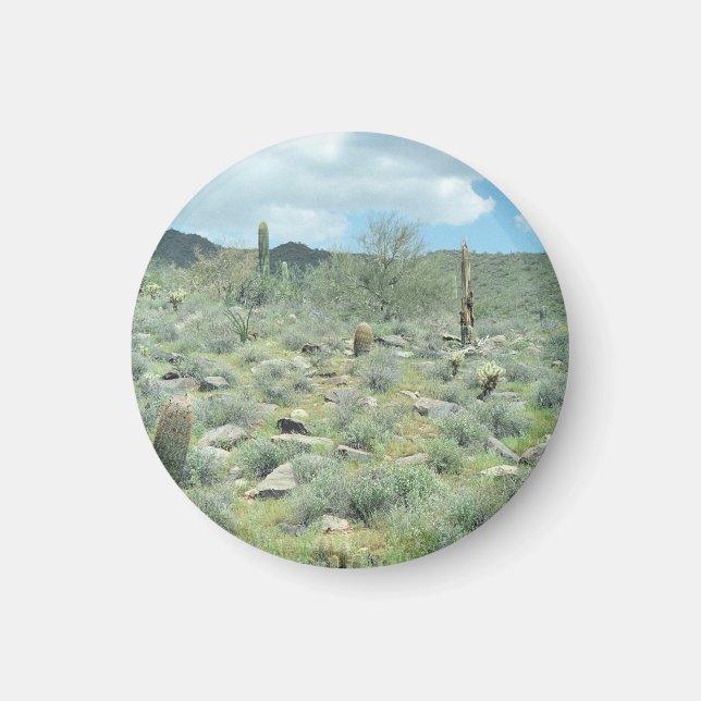 Imã Stepones Decorative Refrigerator Magnet (Frente)