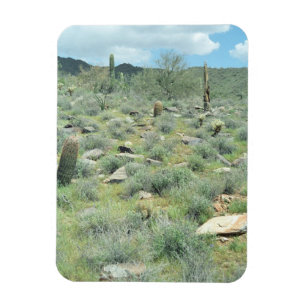 Ímã Stepones Decorative Western Desert Magnet
