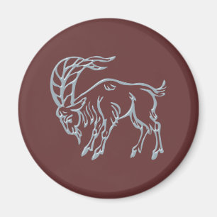 Imã Sternzeichen capricórnio zodiac sign Capricorn
