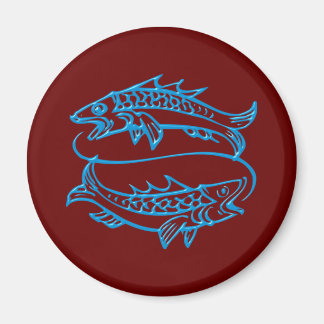 Imã Sternzeichen peixe zodiac sign Pisces