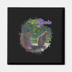 Imã Stevie The Squirrel